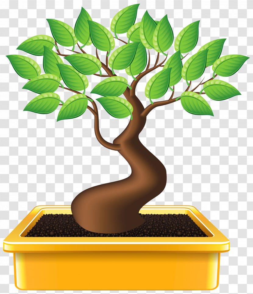 Bonsai Houseplant Tree Clip Art - Garden Transparent PNG