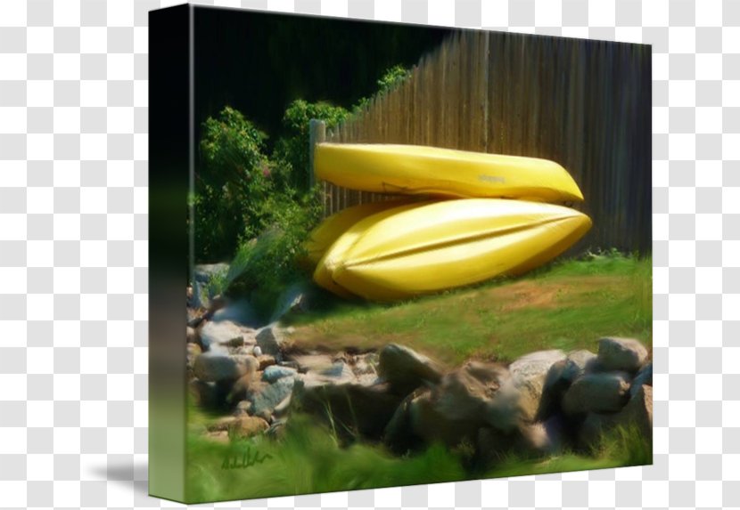 Banana Insect - Plant - Boat Transparent PNG