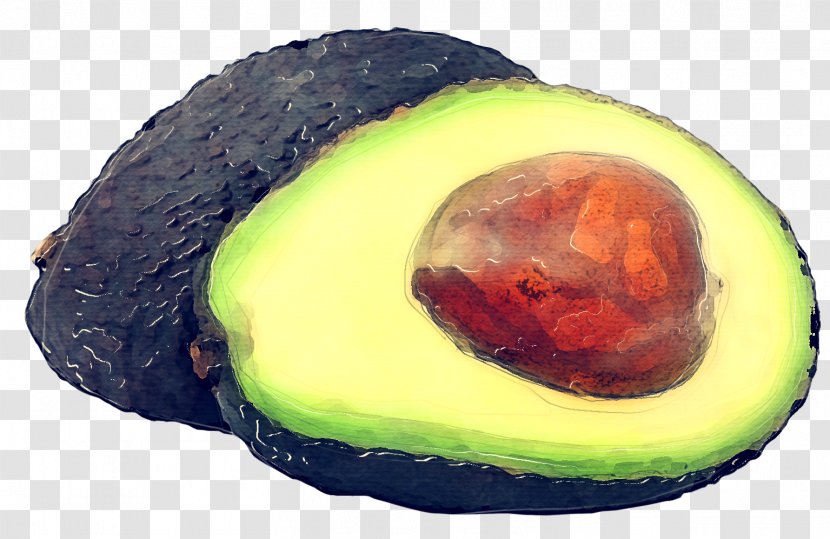 Avocado - Guacamole - Superfood Plant Transparent PNG