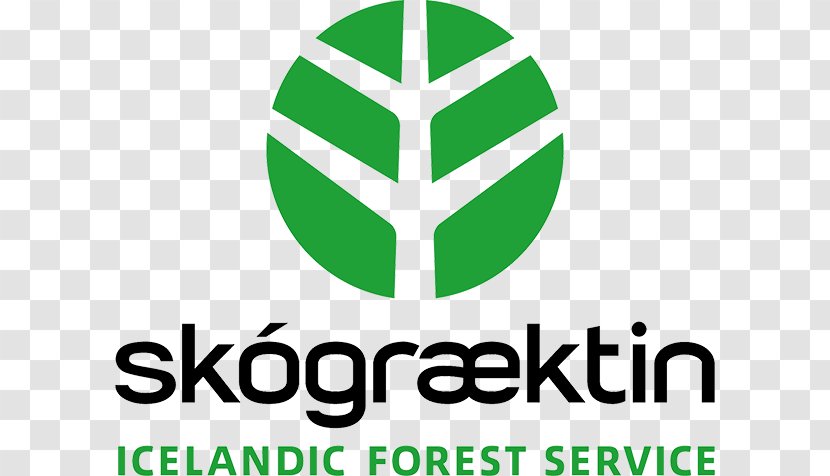 Hallormsstaðaskógur Egilsstaðir Hallormsstaður Lagarfljót Forest - Business Transparent PNG