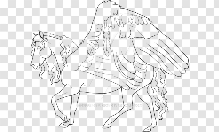Line Art Drawing Horse Pegasus - White Transparent PNG