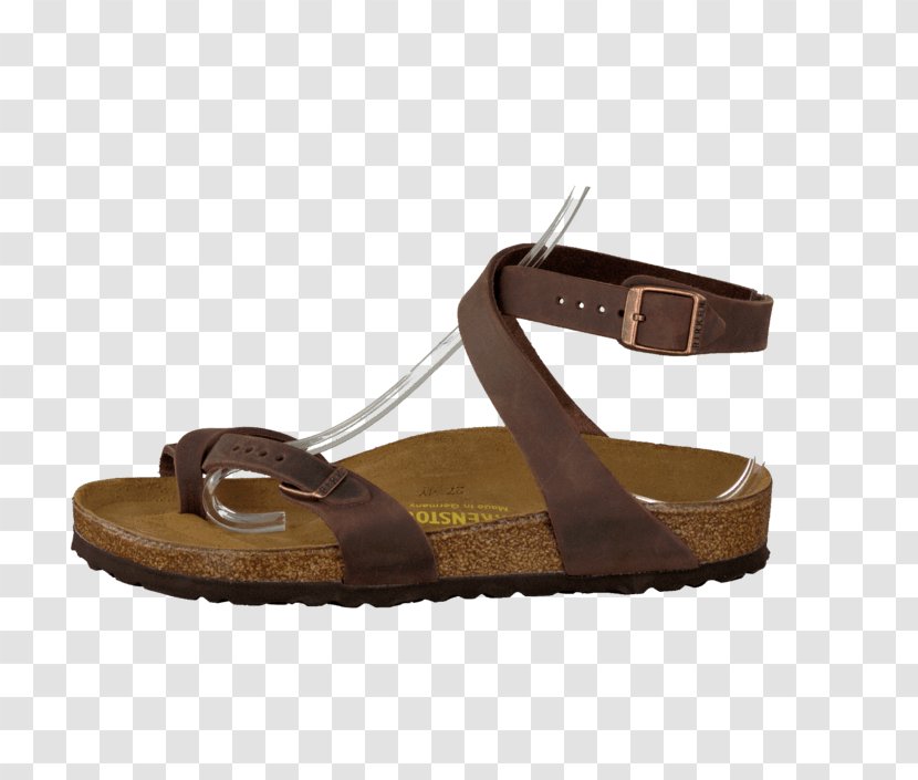 Slide Sandal Shoe - Footwear Transparent PNG
