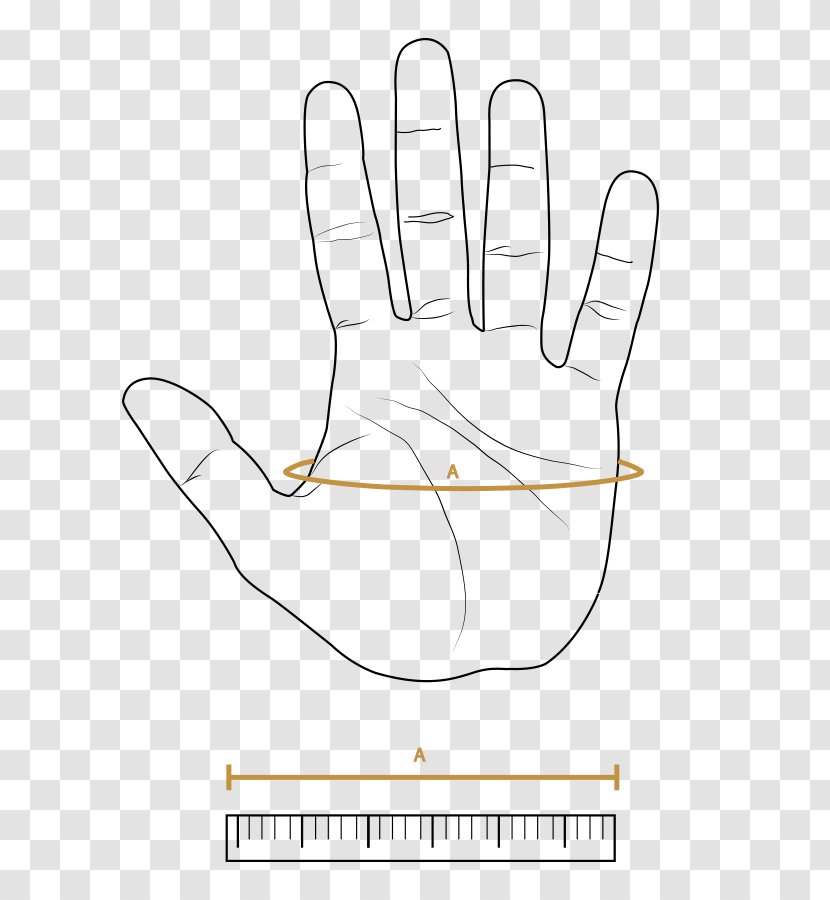 Peccary Thumb Glove Nappa Leather - Silhouette - Kate Winslet Titanic Transparent PNG