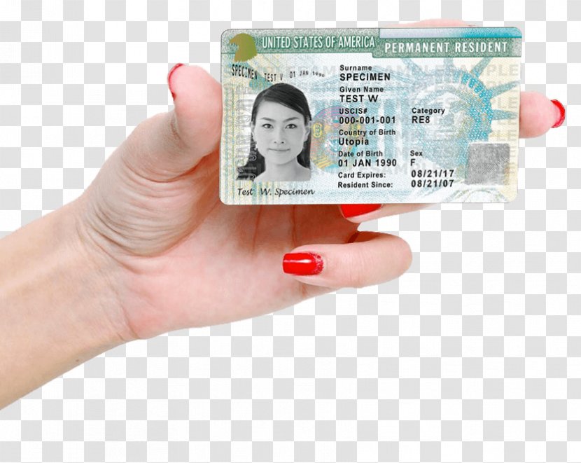 United States Citizenship And Immigration Services Permanent Residence Residency - Refugee Transparent PNG