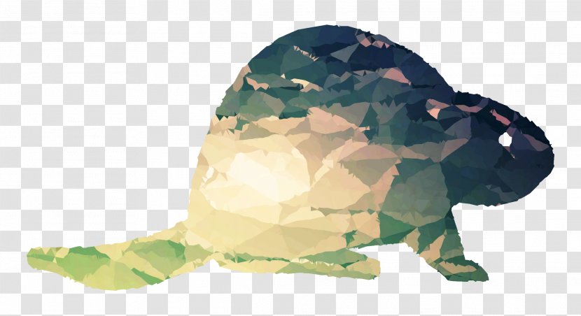 Tortoise Plastic - Turtle Transparent PNG