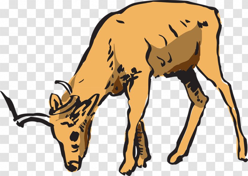 Deer Impala Antelope Clip Art - Fauna Transparent PNG