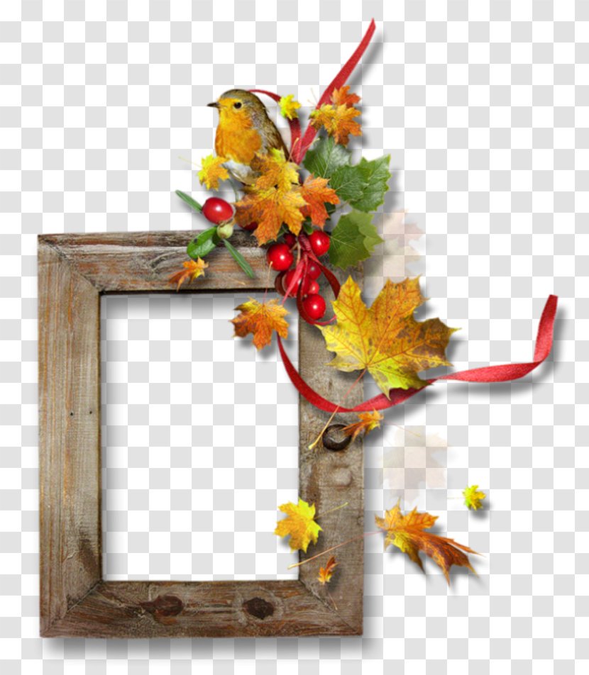 Floral Design - Leaf - Picture Frame Transparent PNG