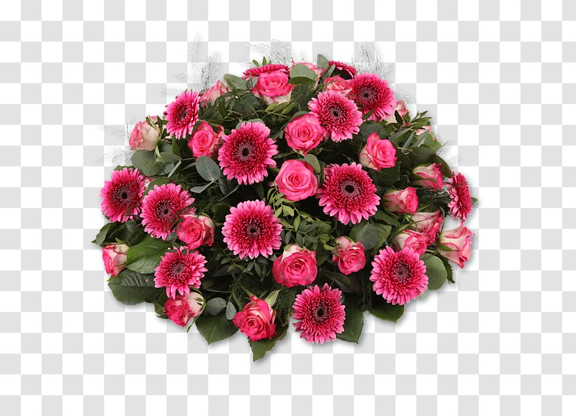 Floral Design Art & Flowers Transvaal Daisy Bloemen En Planten Teeuwen - Watercolor - Flower Transparent PNG