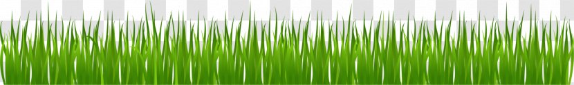 Drawing Olympics Opening Ceremony Clip Art - World Wide Web - Green Simple Grass Transparent PNG
