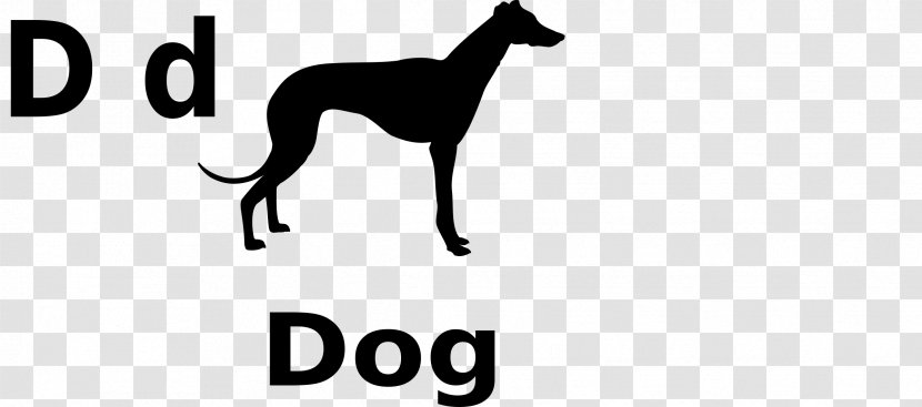 Italian Greyhound Whippet Lurcher Dalmatian Dog - Bone Transparent PNG
