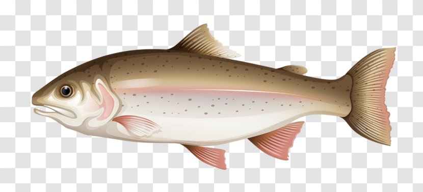 Drawing Royalty-free Clip Art - Bony Fish - Cartoon Transparent PNG