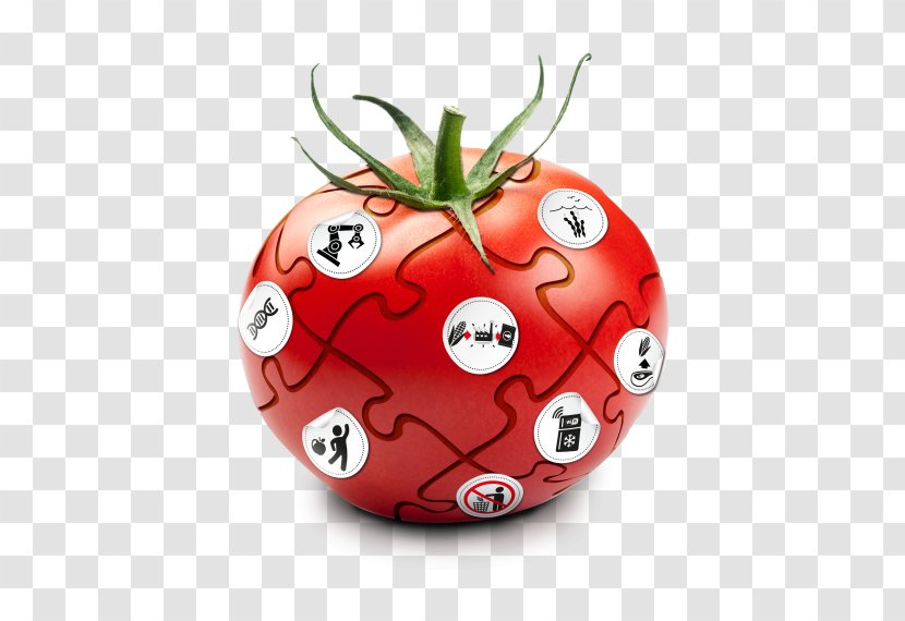 Tomato Christmas Ornament Strawberry Transparent PNG