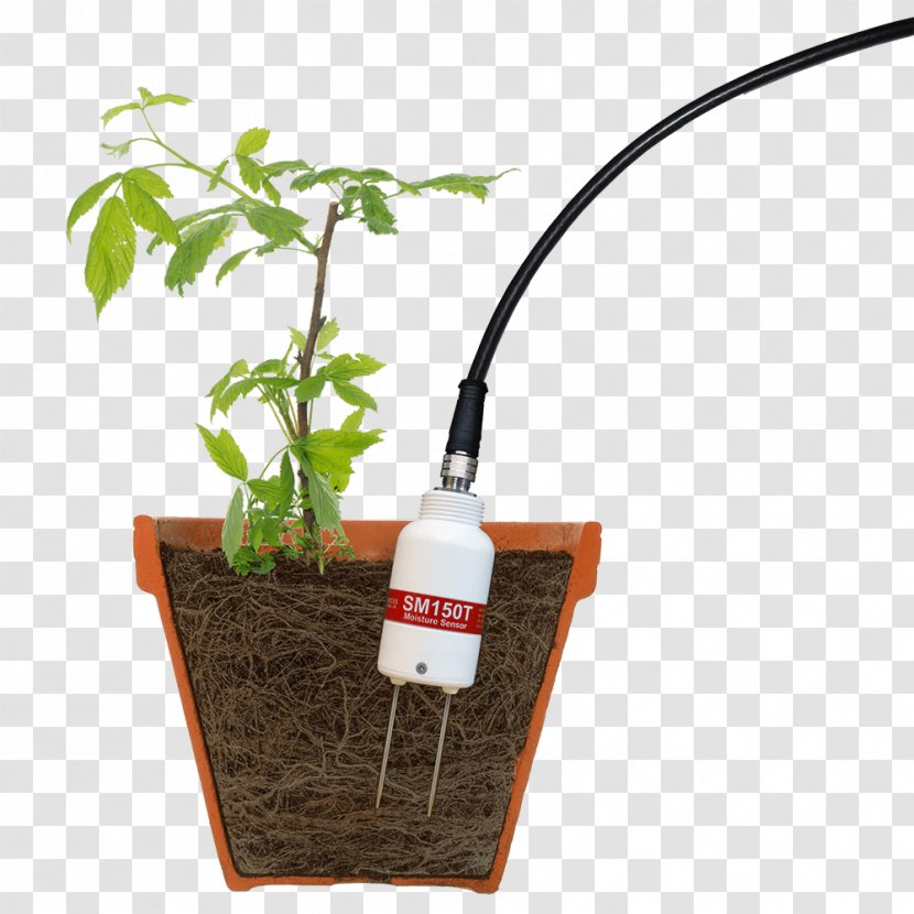 Soil Moisture Sensor Agriculture Water Content - SOIL Transparent PNG