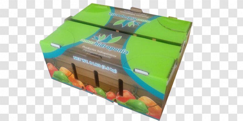 Green Plastic - Carton - Design Transparent PNG