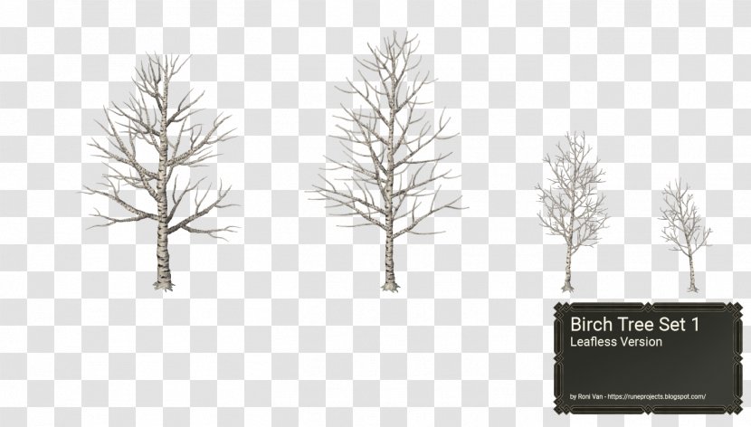 Pine Family Tree Birch Winter Snow - Grass Transparent PNG