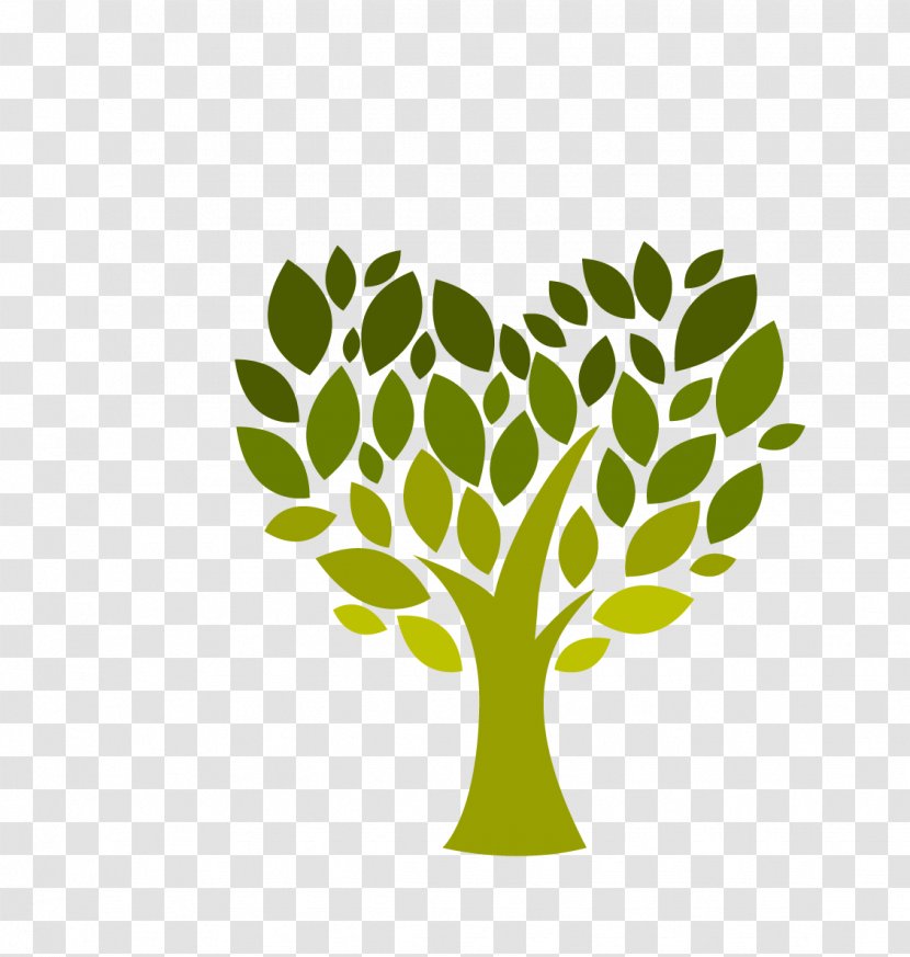 Tree Planting Plantation Leaf - Therapy - Creative Transparent PNG