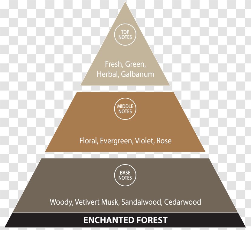 Pyramid Diagram Hierarchy Triangle Chart Transparent PNG