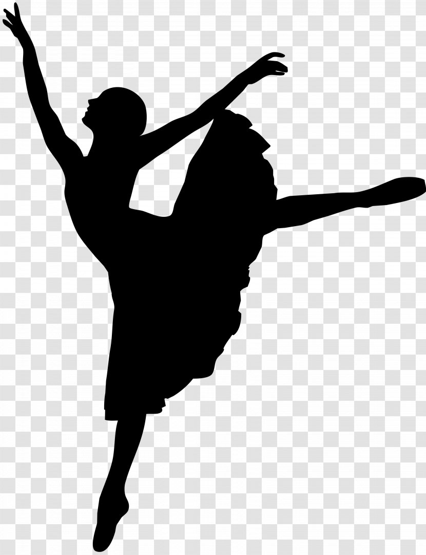 Ballet Dancer Tutu Dance Studio - Cartoon Transparent PNG