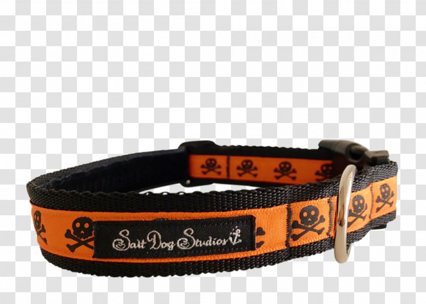 Dog Collar Cat Leash Transparent PNG