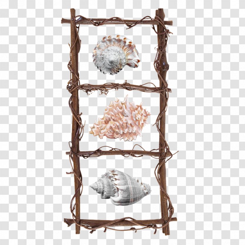 Picture Frames Wood Photography Clip Art - Branch - Ladder Transparent PNG