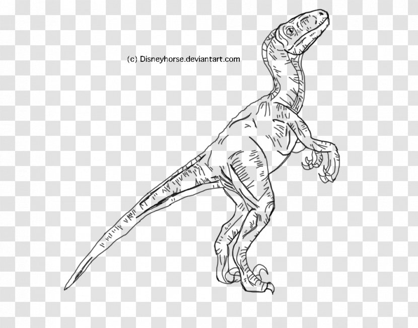 Velociraptor Jurassic World Evolution Tyrannosaurus Park Line Art - Parking Transparent PNG