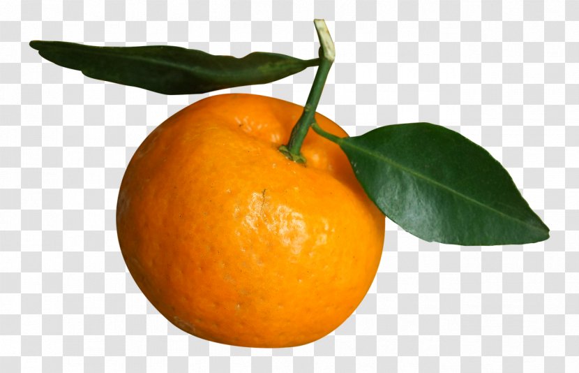 Tangerine Mandarin Orange Clementine Rangpur Tangelo - Fruit Transparent PNG