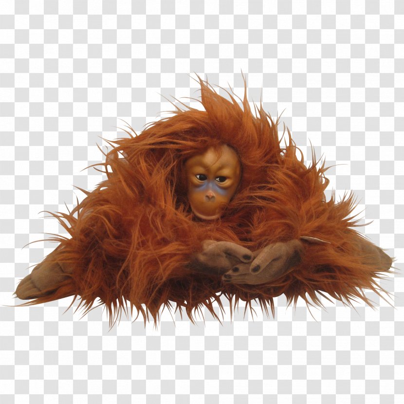 Fur Animal Carnivora - Orangutan Transparent PNG