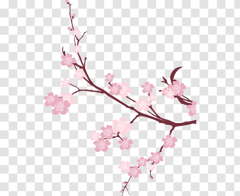 Cherry Blossom Branch Tree - Petal - Dine Together Transparent PNG