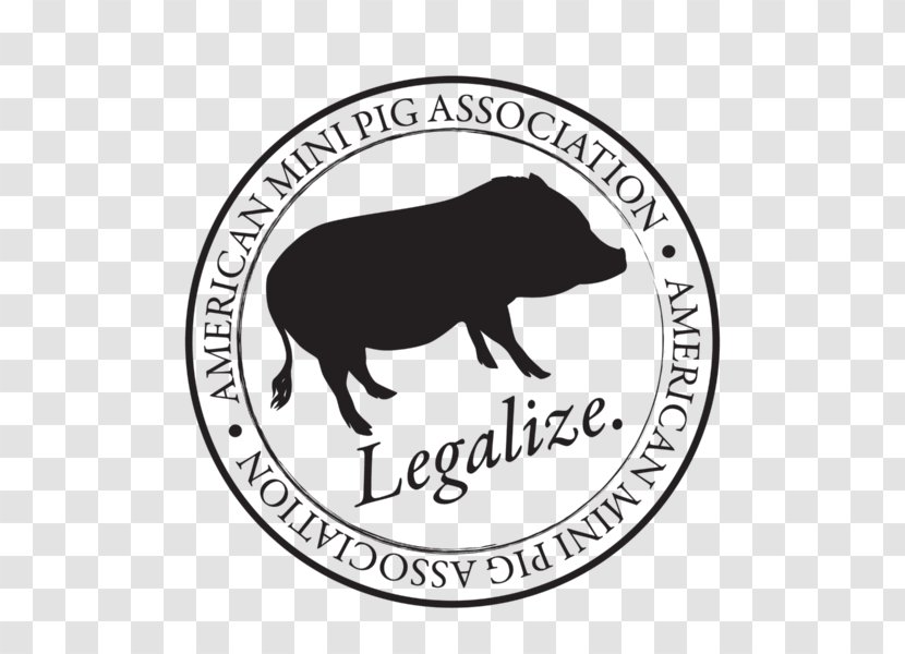 Mark Co, DPM North Dakota State University Zionsville Domestic Pig Water's Bend Apartments - Society - Legalize Transparent PNG