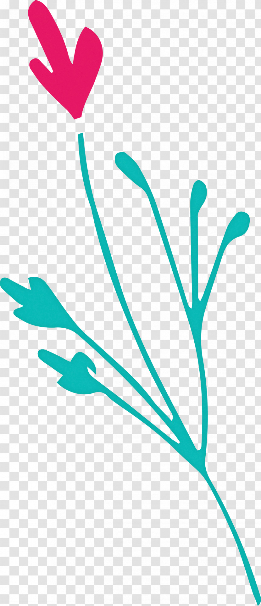 Leaf Branch Transparent PNG