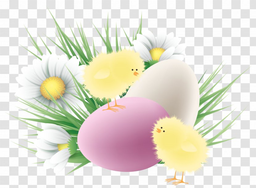 Easter Bunny Egg Palm Sunday - Flowering Plant - Transparent Chickens And Eggs Clipart Picture Transparent PNG