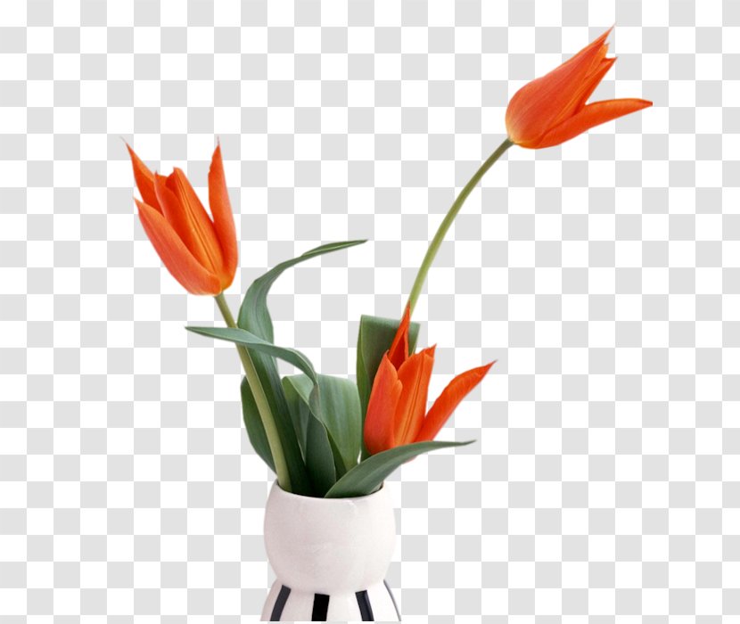 Floral Design Vase Desktop Wallpaper Flower - Plant Stem Transparent PNG
