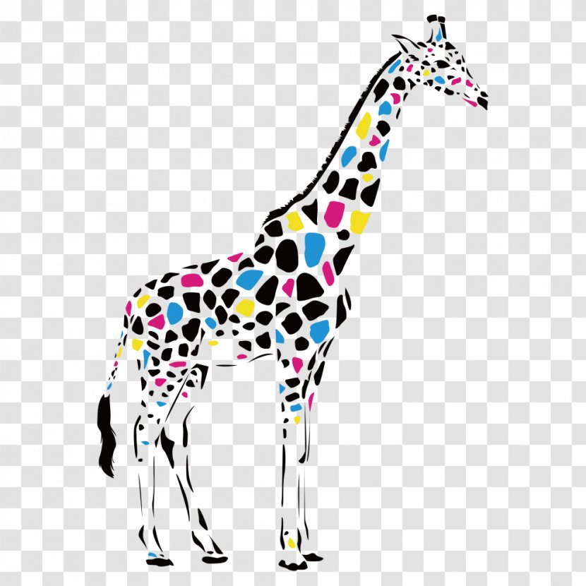 Reticulated Giraffe Abstract Art Drawing Painting Transparent PNG