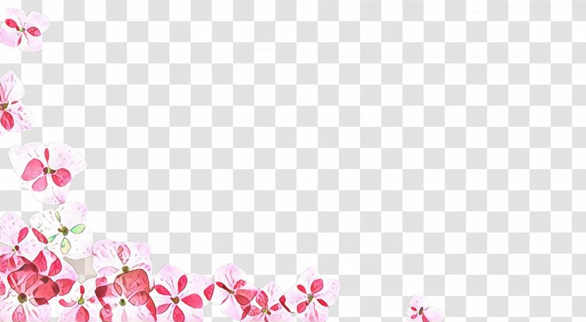 Pink Flower Cartoon - Plant - Blossom Magenta Transparent PNG