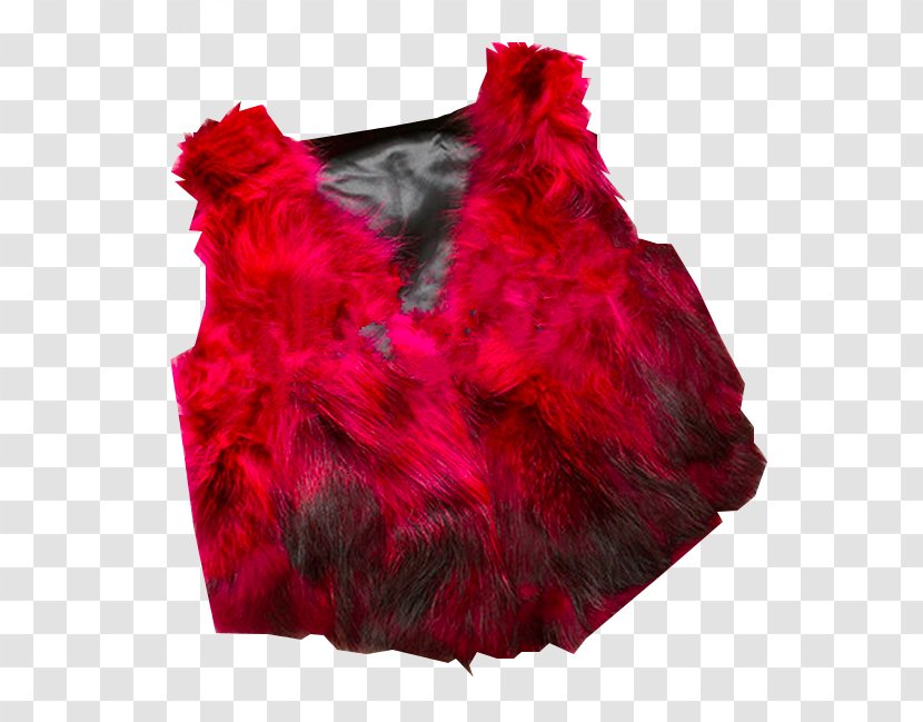 Fur Dye - Ladies Transparent PNG