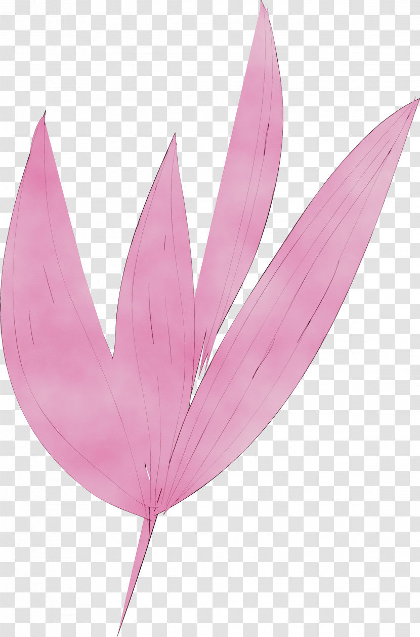 Leaf Pink M Plant Structure Science Biology Transparent PNG