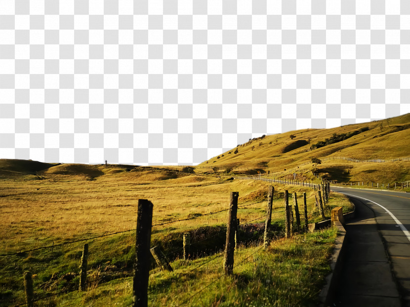 Ecoregion Rural Area Grassland Transparent PNG