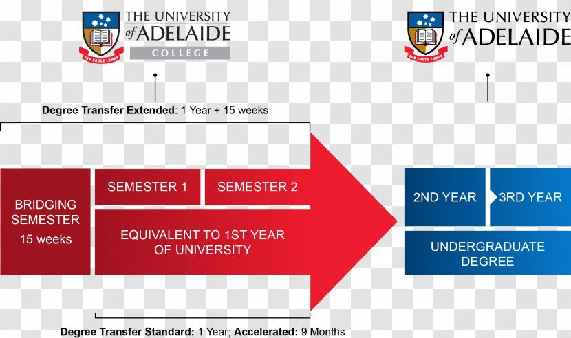 University Of Adelaide Bachelor's Degree Macomb Community College - Qs World Rankings - Certificate Transparent PNG