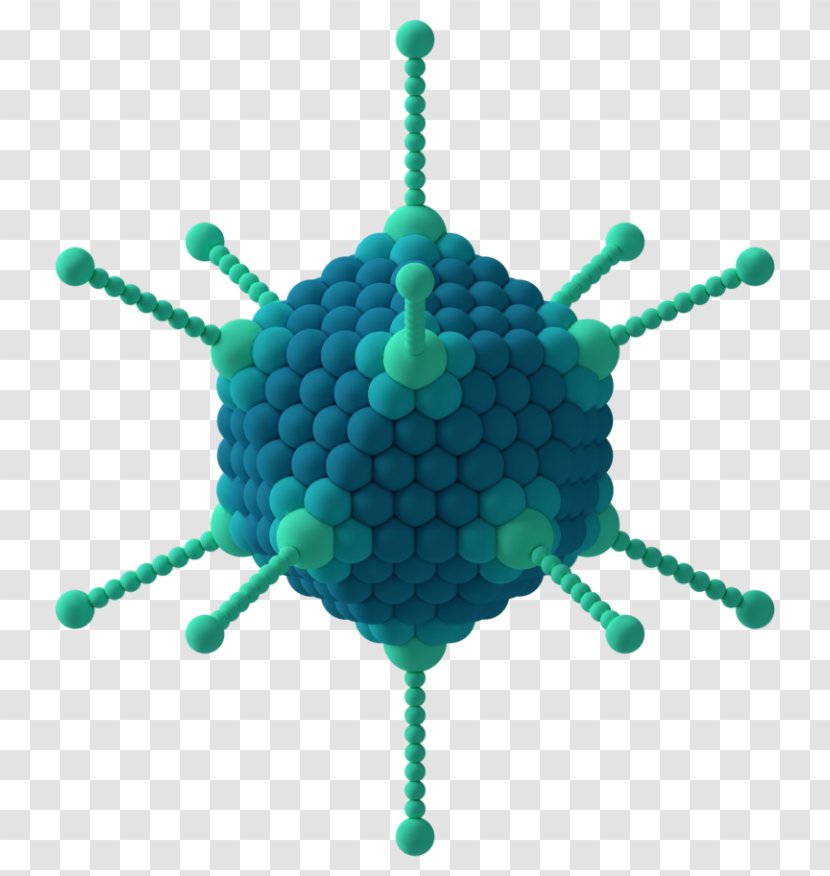 Capsid Icosahedron Adenoviruses Capsomere - Nano Technology Transparent PNG
