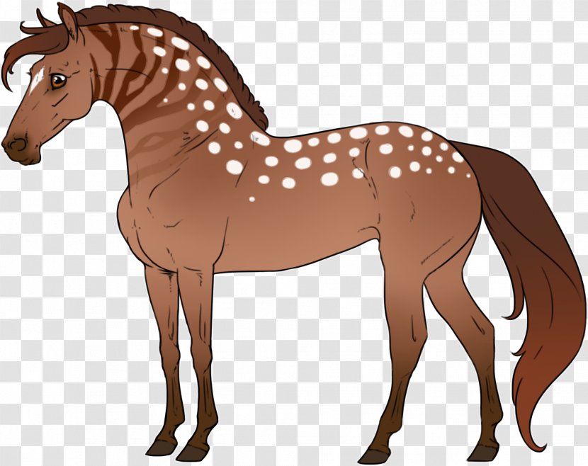 Mule Foal Stallion Colt Mare - Mammal - Mother’s Day Mother Transparent PNG