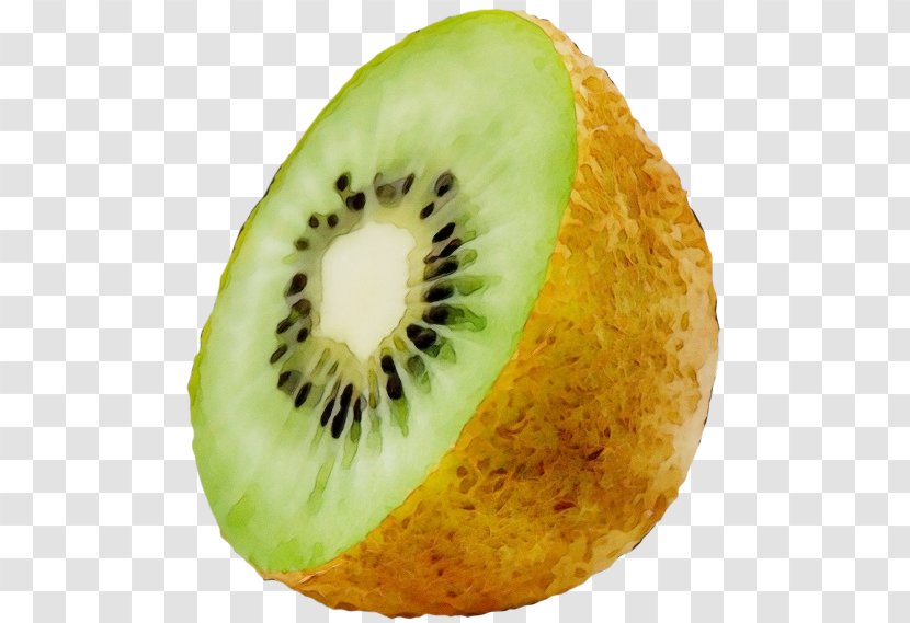 Kiwifruit Fruit Plant Food Muskmelon - Superfood - Accessory Transparent PNG