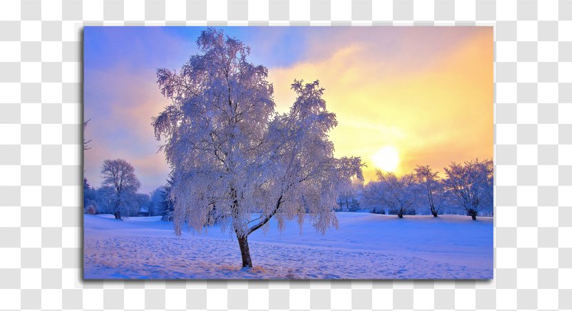 Landscape Winter Desktop Wallpaper Snow Nature - Sunlight Transparent PNG