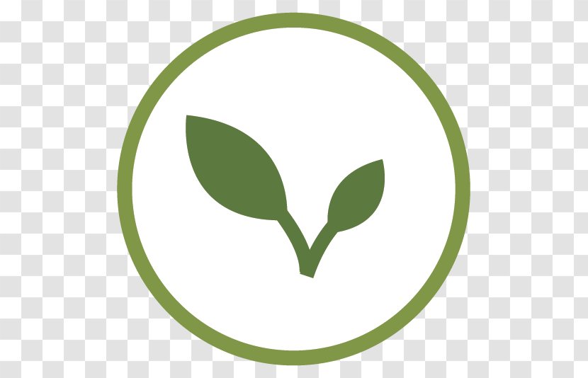 Leaf Brand Plant Stem Logo Clip Art - Tree Transparent PNG