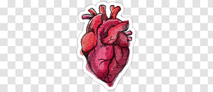 Drawing Heart Anatomy Painting - Flower Transparent PNG