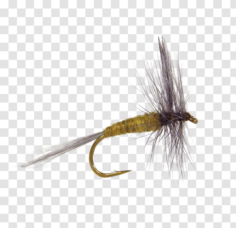 The Salmon Fly Dry Fishing Artificial Tying - Baits Lures Transparent PNG