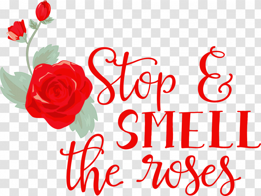 Rose Stop And Smell The Roses Transparent PNG