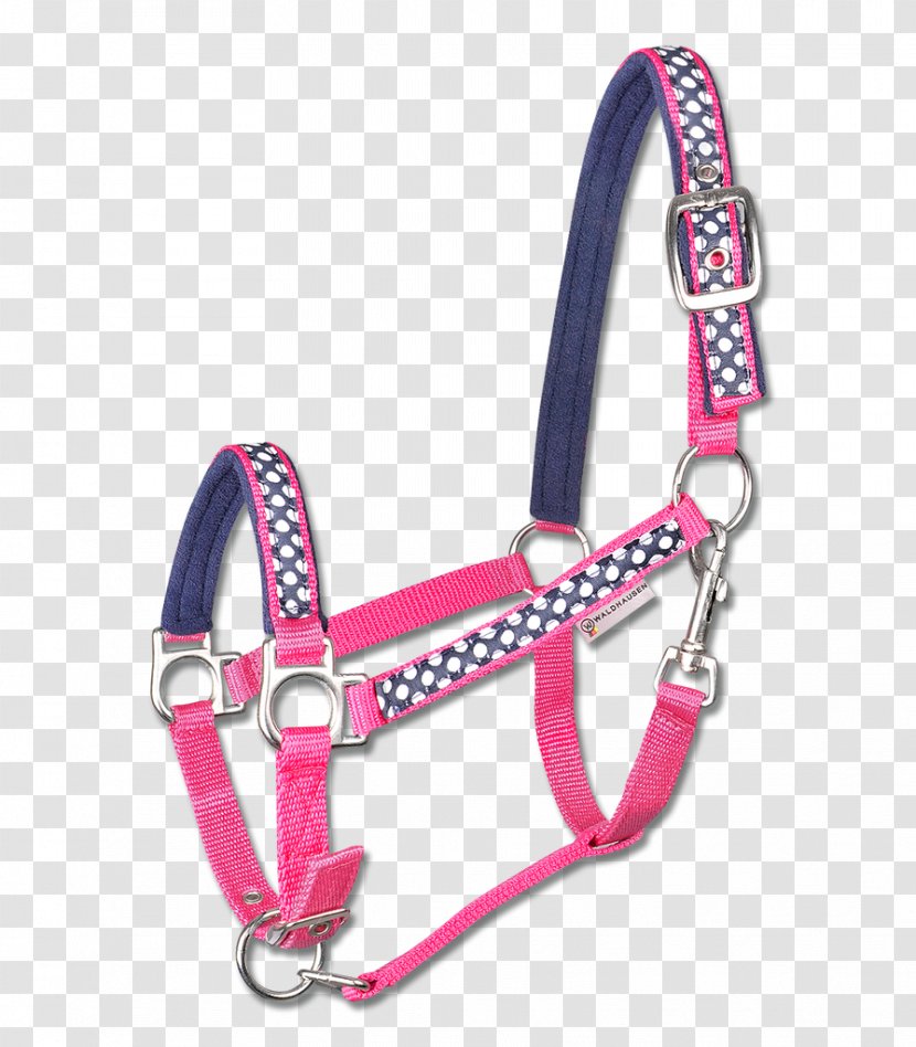 Horse Halter Equestrian Bridle Panic Snap - Tack Transparent PNG