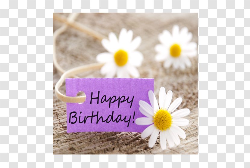 Happy Birthday Wish Greeting & Note Cards Gift - Anniversary Transparent PNG