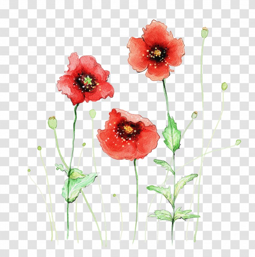 Watercolor Painting Flower Red - Art - Background Material Element Transparent PNG