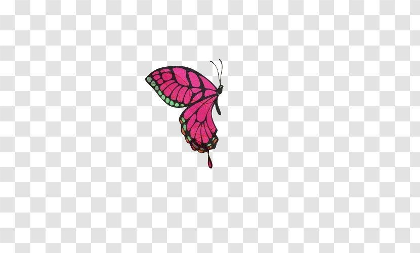 Butterfly Insect Icon Transparent PNG